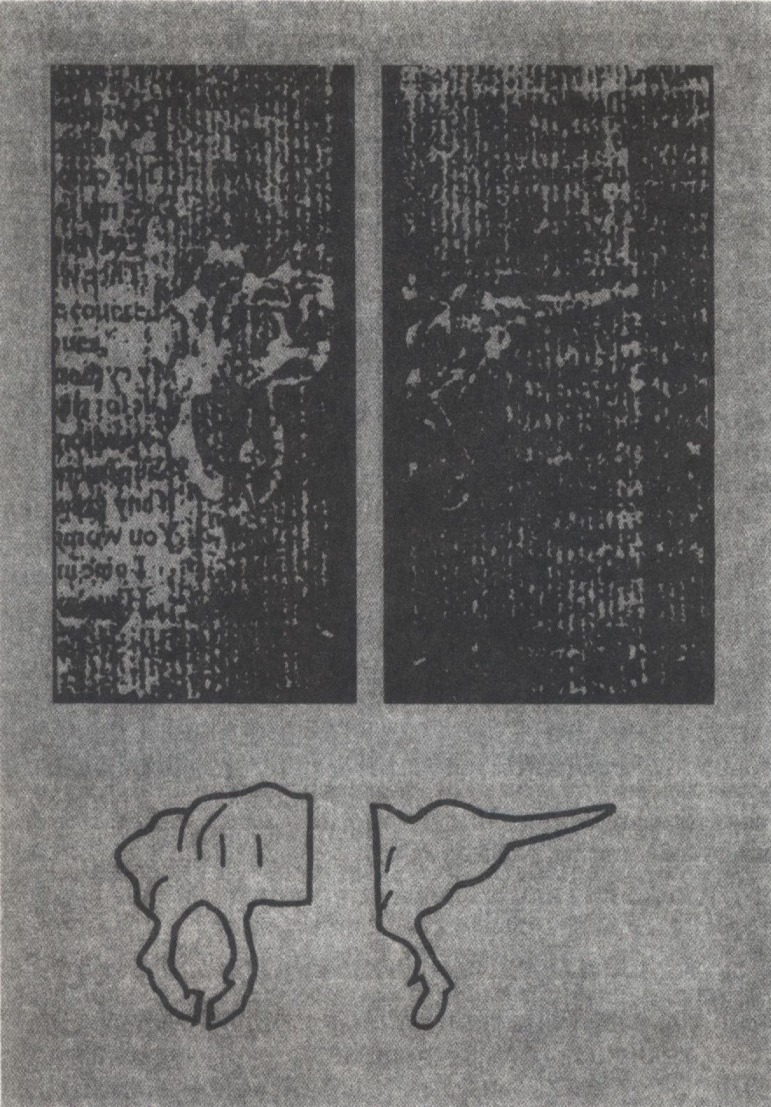 Уникальный водяной знак на листе честеровского сборника, обнаруженный И. Гилиловым, — единорог с искривленными задними ногами. Внизу — прорисовка